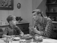 The Andy Griffith Show